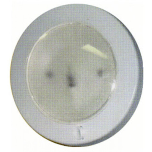 Frilight Saturn White 10W Switch/Face Fix/Opaque Lens | 4463 | Caravan Parts